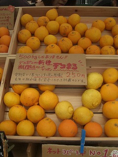 f0009451_10251711.jpg