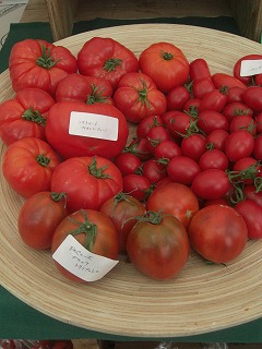 f0009451_10265513.jpg