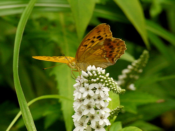 d0091754_22474861.jpg