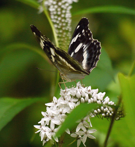 d0091754_22522171.jpg