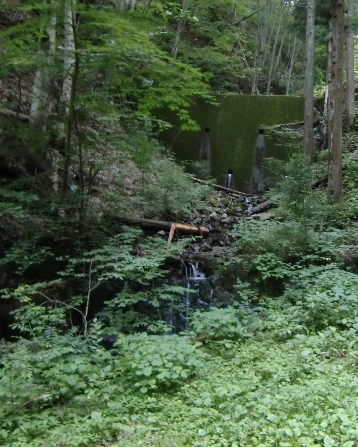 c0140260_22352776.jpg