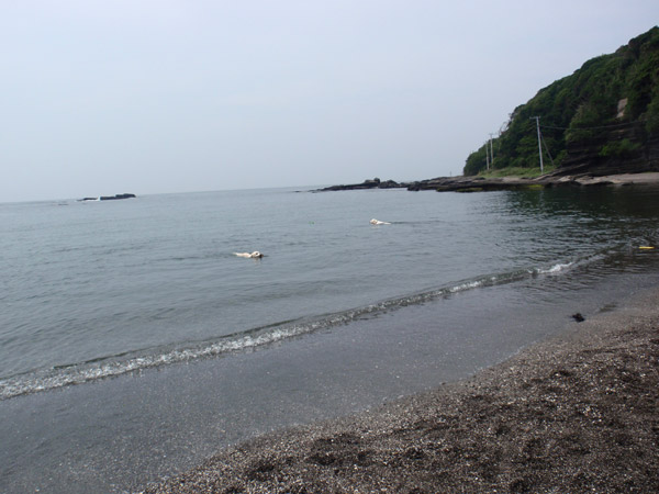 c0110361_13593393.jpg