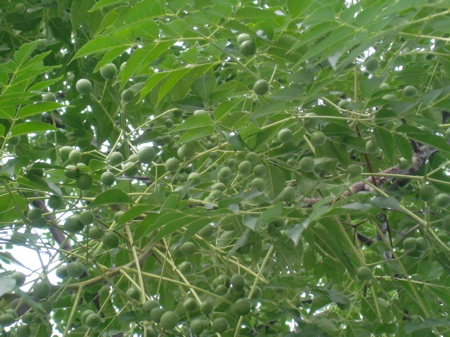 d0105063_22281179.jpg
