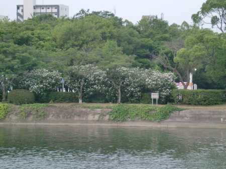d0105063_22312934.jpg