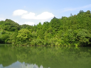f0055264_1343517.jpg