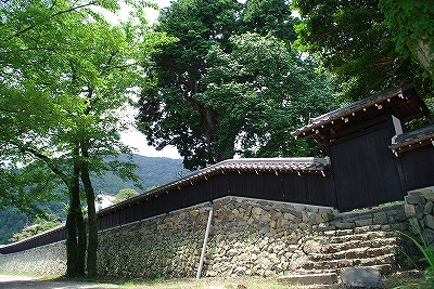 f0106664_79367.jpg