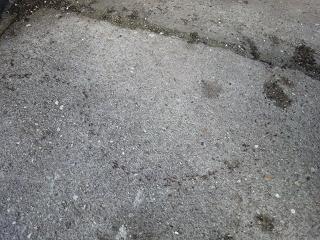 c0083165_20203357.jpg