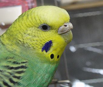 f0196665_23531910.jpg