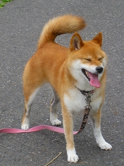 e0160568_13115987.jpg