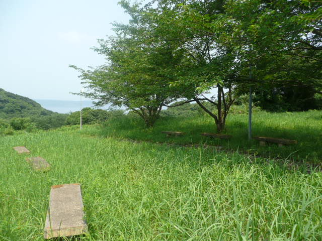 a0154870_20381671.jpg