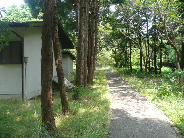 a0154870_20383444.jpg