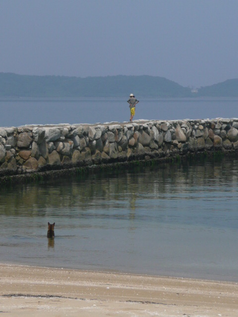 a0154870_2042010.jpg