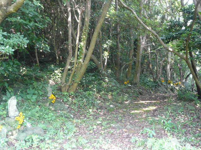 a0154870_20434289.jpg