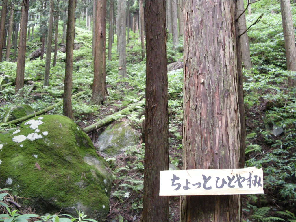 b0185573_21563446.jpg
