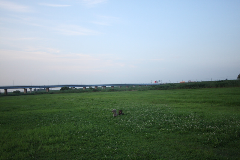 c0229377_2257526.jpg