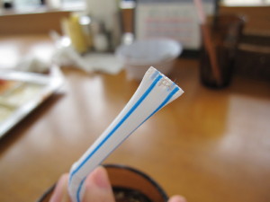 e0185485_20111269.jpg