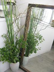 c0178588_22423426.jpg
