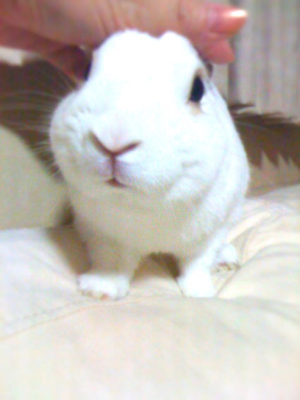 f0201191_1452893.jpg