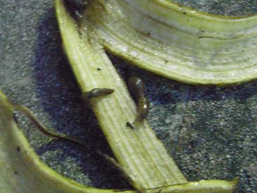 e0048994_9465949.jpg