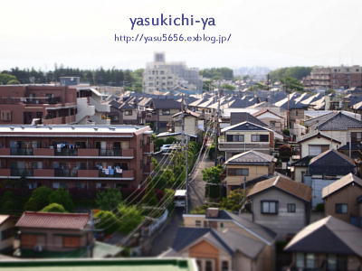 e0048497_2053558.jpg