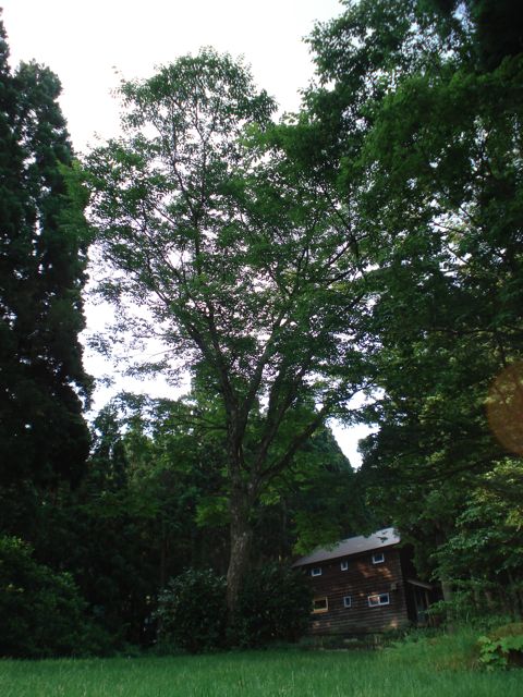 a0061599_6505774.jpg
