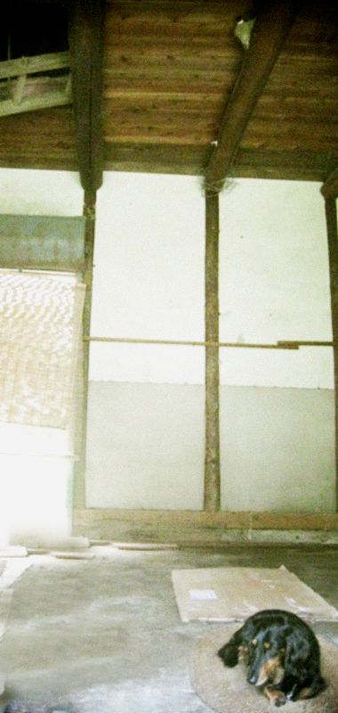 d0077603_6175557.jpg