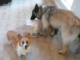 f0227709_1331597.jpg