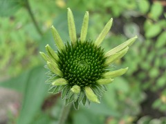 c0190010_13374124.jpg