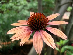 c0190010_1346626.jpg