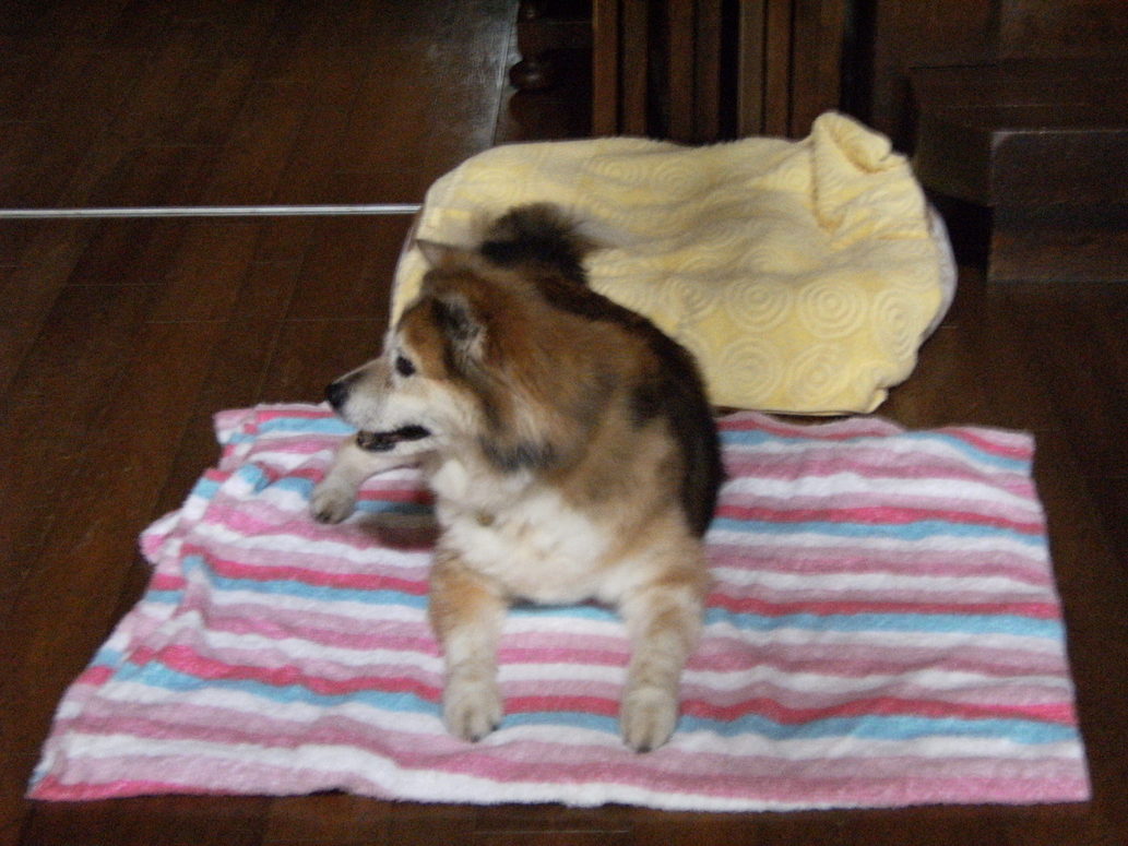 c0029913_23273347.jpg