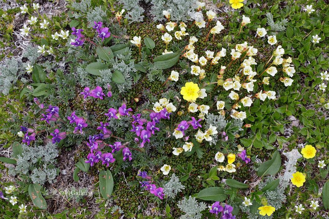 c0073613_22234083.jpg