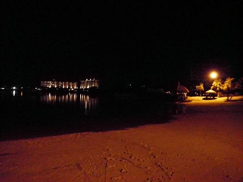 a0059315_1315737.jpg