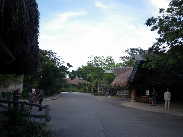 a0059315_175740.jpg