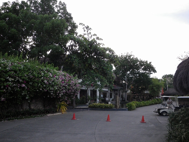 a0059315_181953.jpg