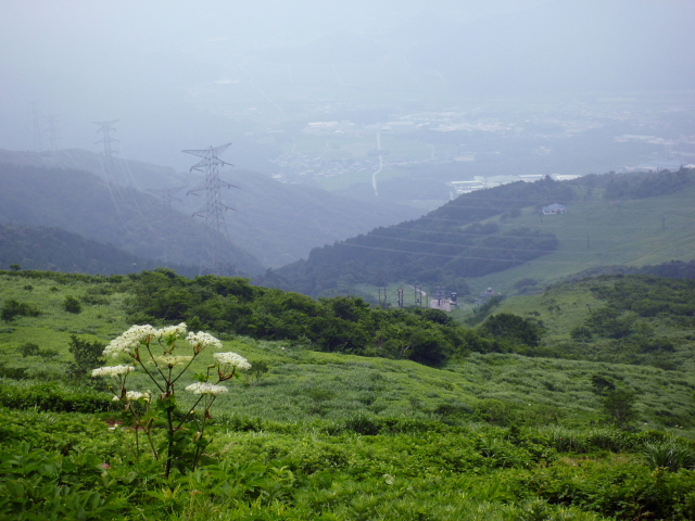 d0170615_17363444.jpg