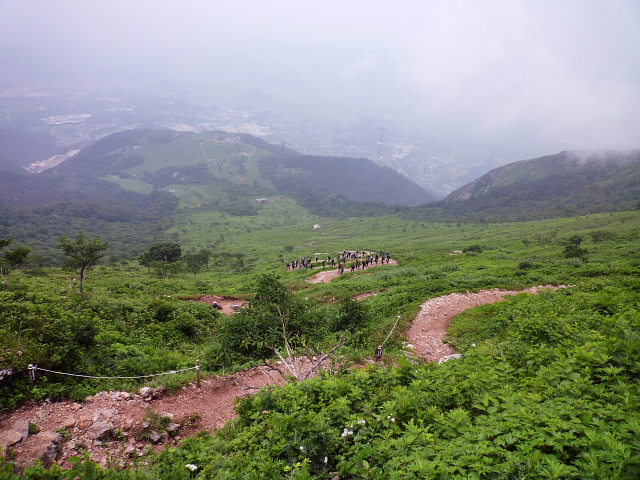 d0170615_1739219.jpg