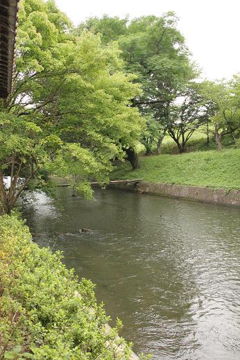 b0109220_16111553.jpg