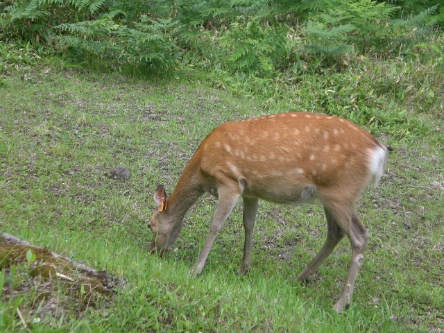 e0122424_214723.jpg