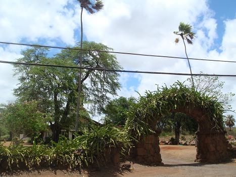 f0045530_22502328.jpg