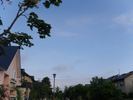e0026331_8225784.jpg