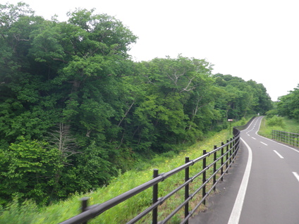 e0026331_8272295.jpg