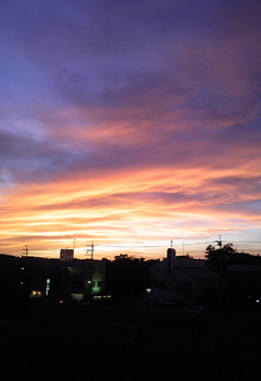e0138031_6153334.jpg