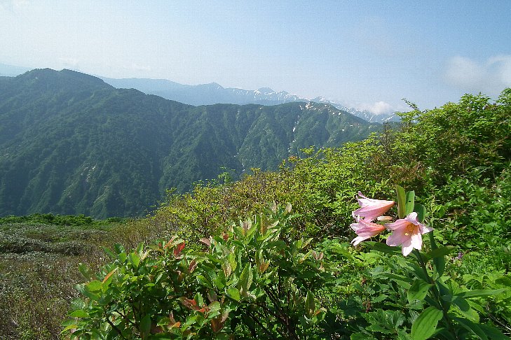 f0118332_9371869.jpg