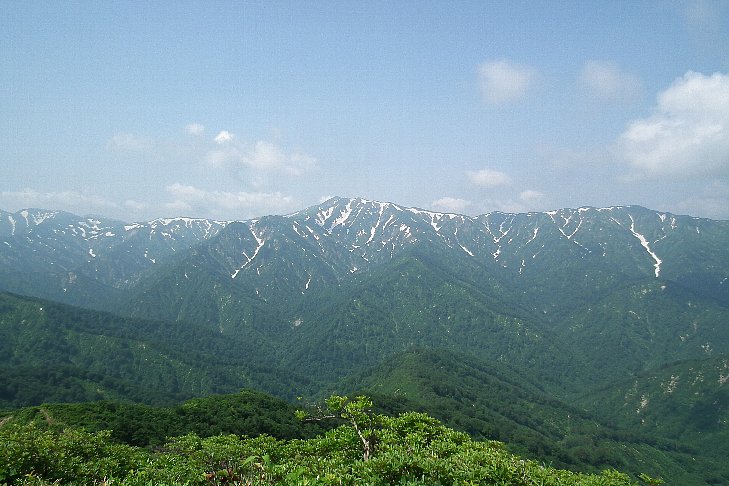 f0118332_9455688.jpg