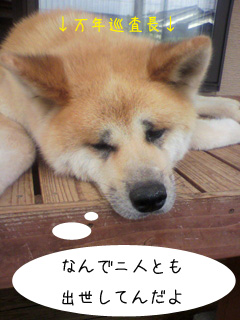 f0008935_1065139.jpg