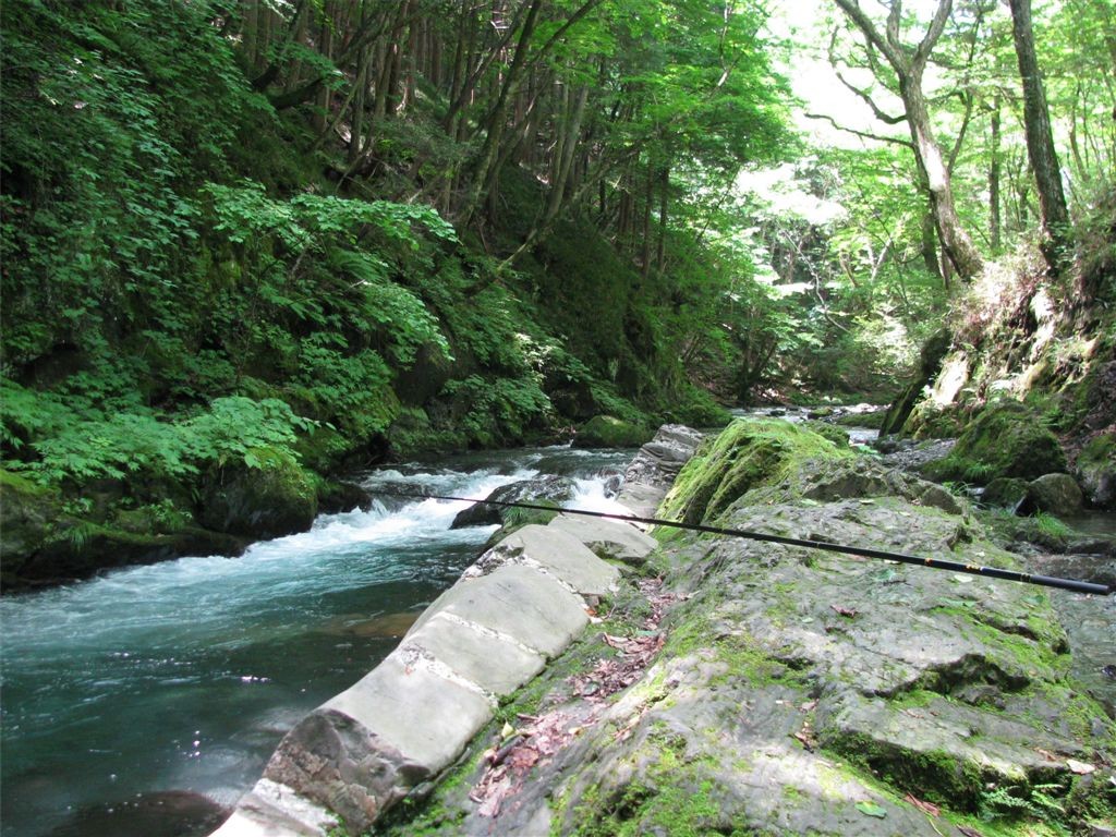 f0151044_8255412.jpg
