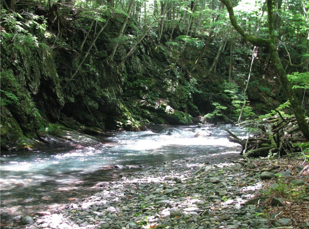 f0151044_8261227.jpg