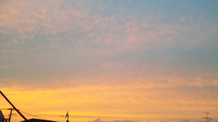 a0125846_2344877.jpg