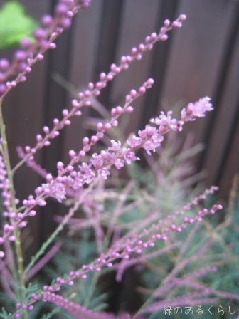 f0213651_723531.jpg