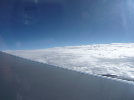 a0112452_1015559.jpg